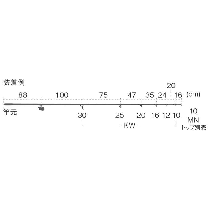 Fuji T-KWSG306 投げセット ガイドセット トップガイド別売り チタン