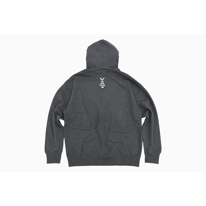 THE NORTH FACE（ザ ノースフェイス） パーカー プルオーバー メンズ