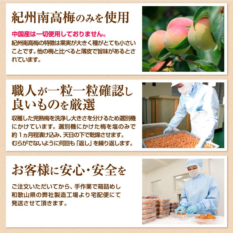 梅の一冨士 梅干し 選べるお試しセット(40g×4) 食べ比べ 南高梅 減塩