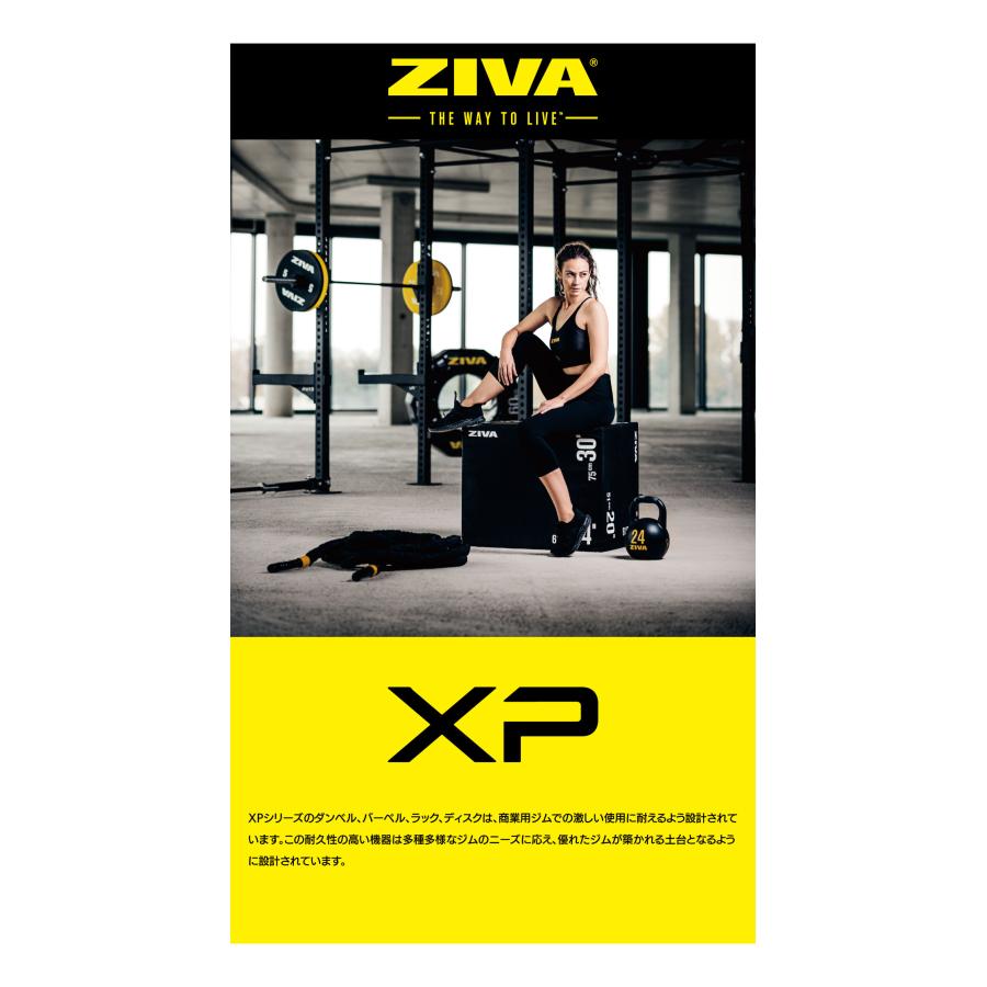 ハーフラック HALF RACK スクワット ウエイトトレーニング 筋トレ