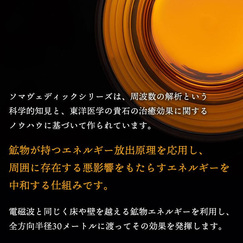 SOMAVEDIC (ソマヴェディック)メディックアンバー : イキイキ生活通販