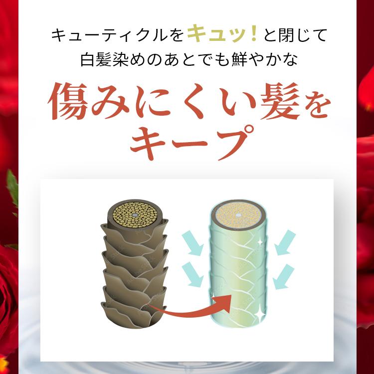 大特価セール今だけ20％OFF イクモアクロカミシャンプー｜送料無料