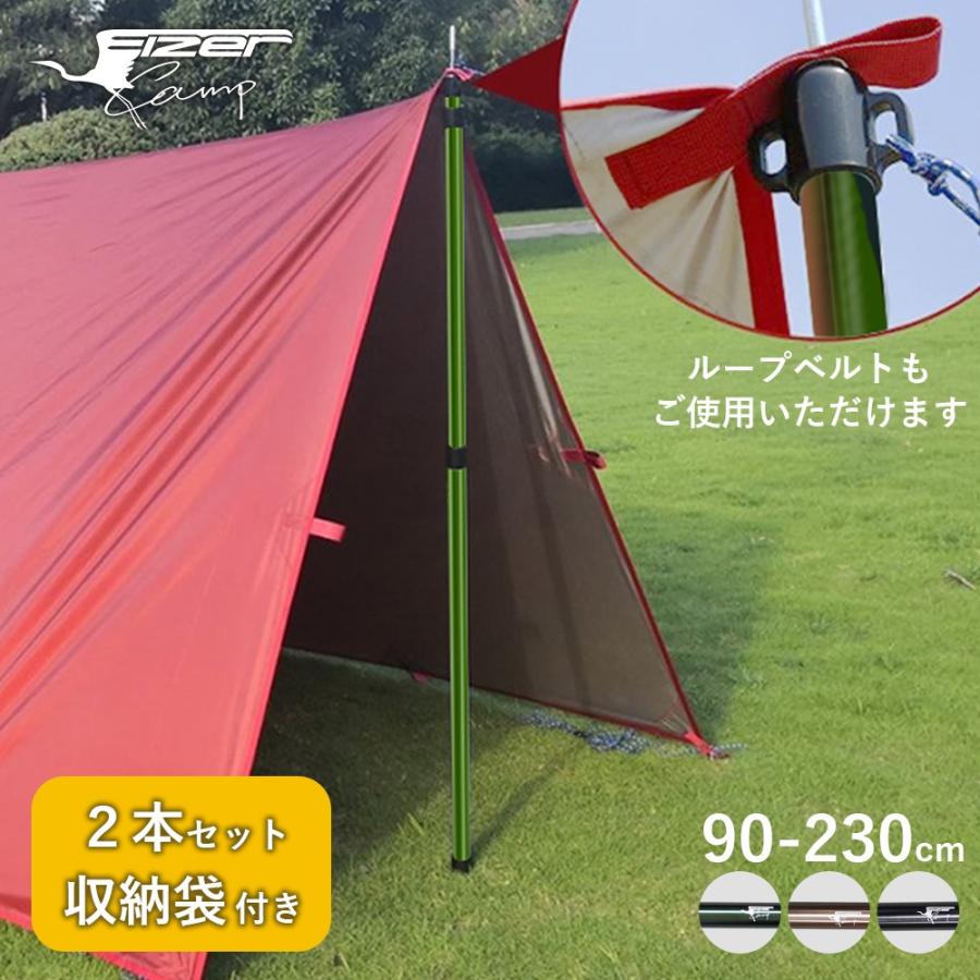 EIZER CAMP（アイゼルキャンプ） タープポール 2本セット ブラック