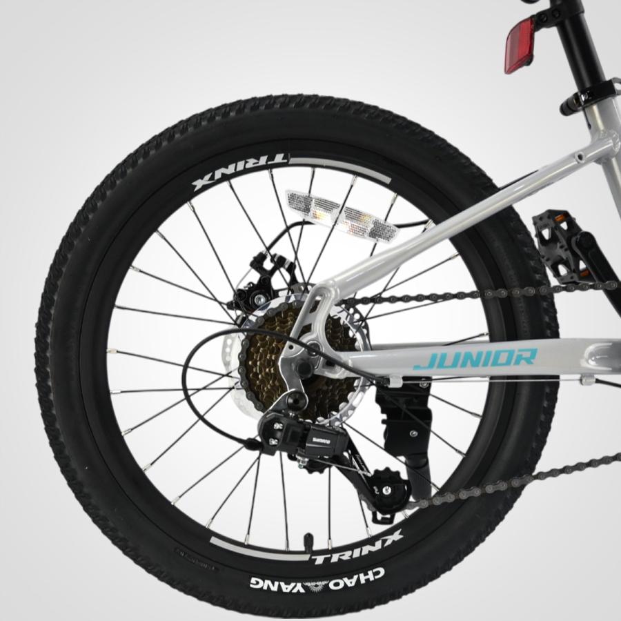 子ども用自転車 20インチ マウンテンバイク MTB ダブルディスク