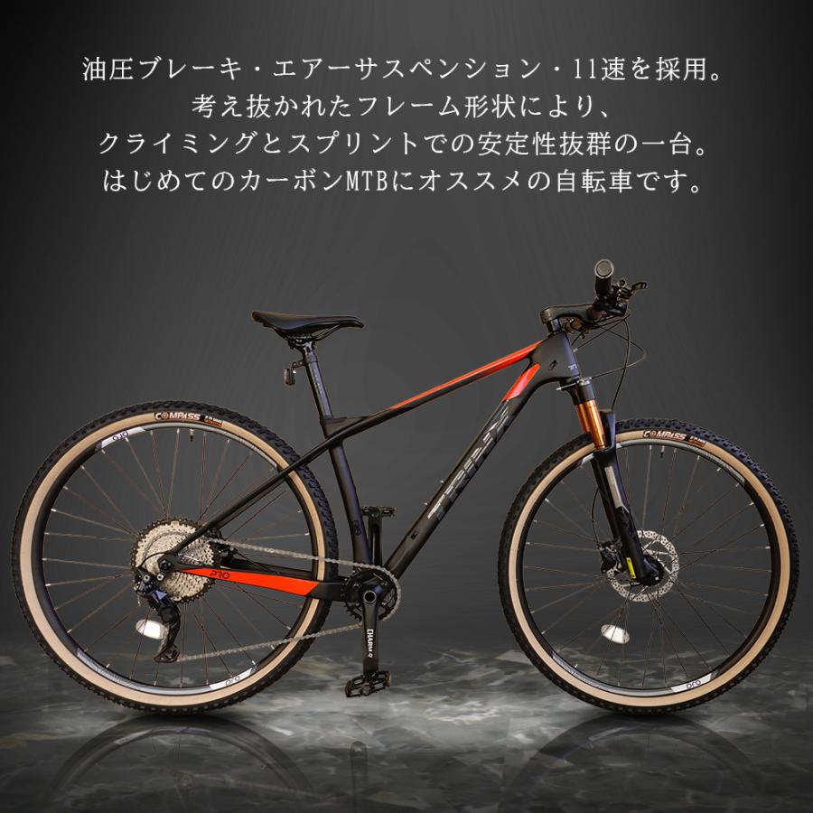 TRINX（トリンクス） マウンテンバイク ハードテイル カーボン 29