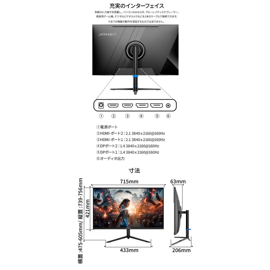 JAPANNEXT（ジャパンネクスト） JAPANNEXT 31.5インチ VAパネル搭載