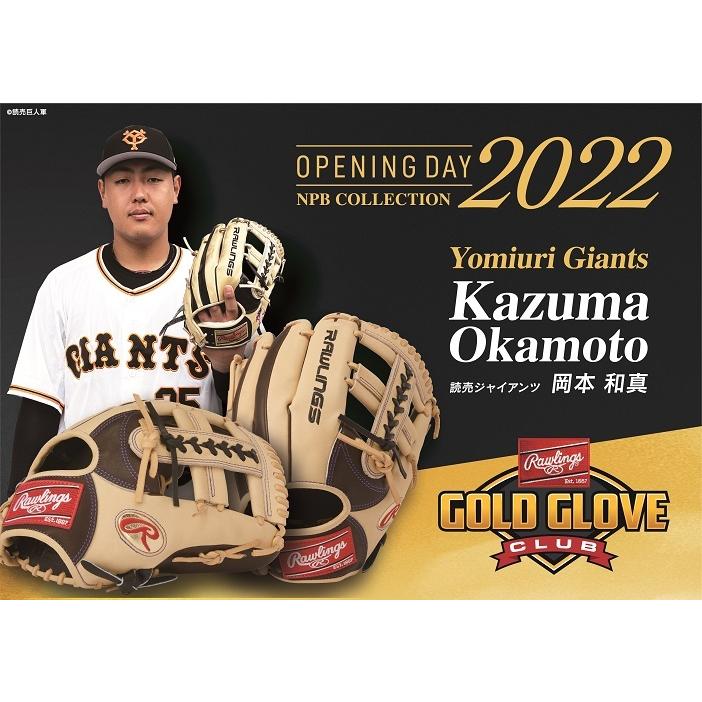 Rawlings（ローリングス） 【数量限定】ローリングス 軟式グローブ