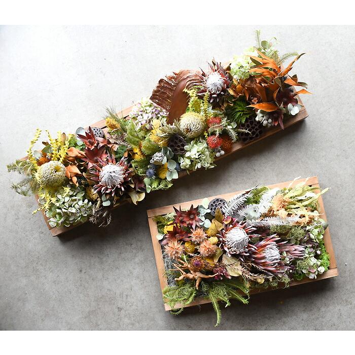 プリティ マーメイド 「ドライボタニカルウォール」 アレンジ ドライ