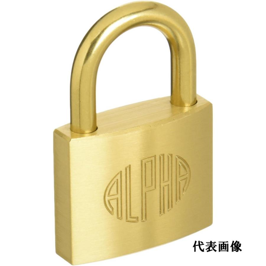 同一キー 南京錠 アルファ #1000 45mm 鍵番号 NO.45 合カギ3枚入 ALPHA