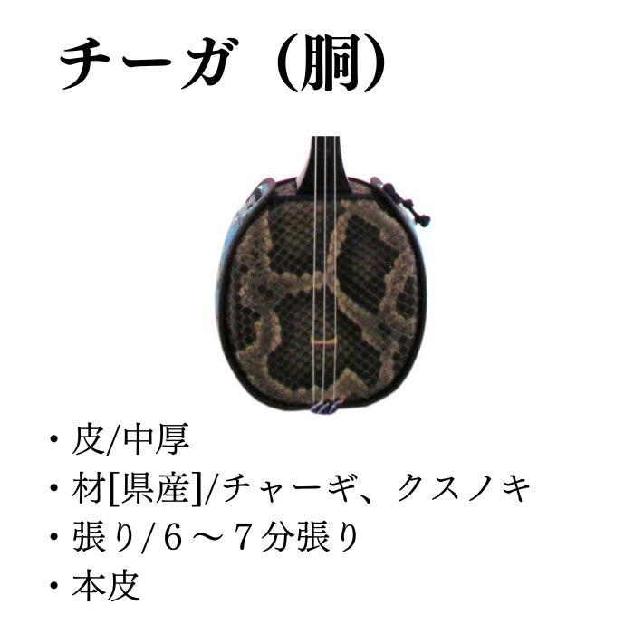 沖縄三線 アーティストモデル 宮沢和史 真壁型 本皮 初心者 サンシン