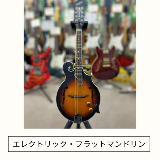 マイク搭載2通り演奏できるFタイプフラットマンドリン｜アンプ接続