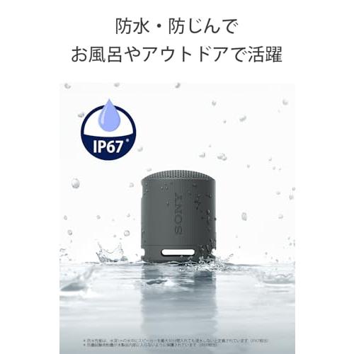 SONY（ソニー） SONY SRS-XB100 ライトグレー ワイヤレスポータブル