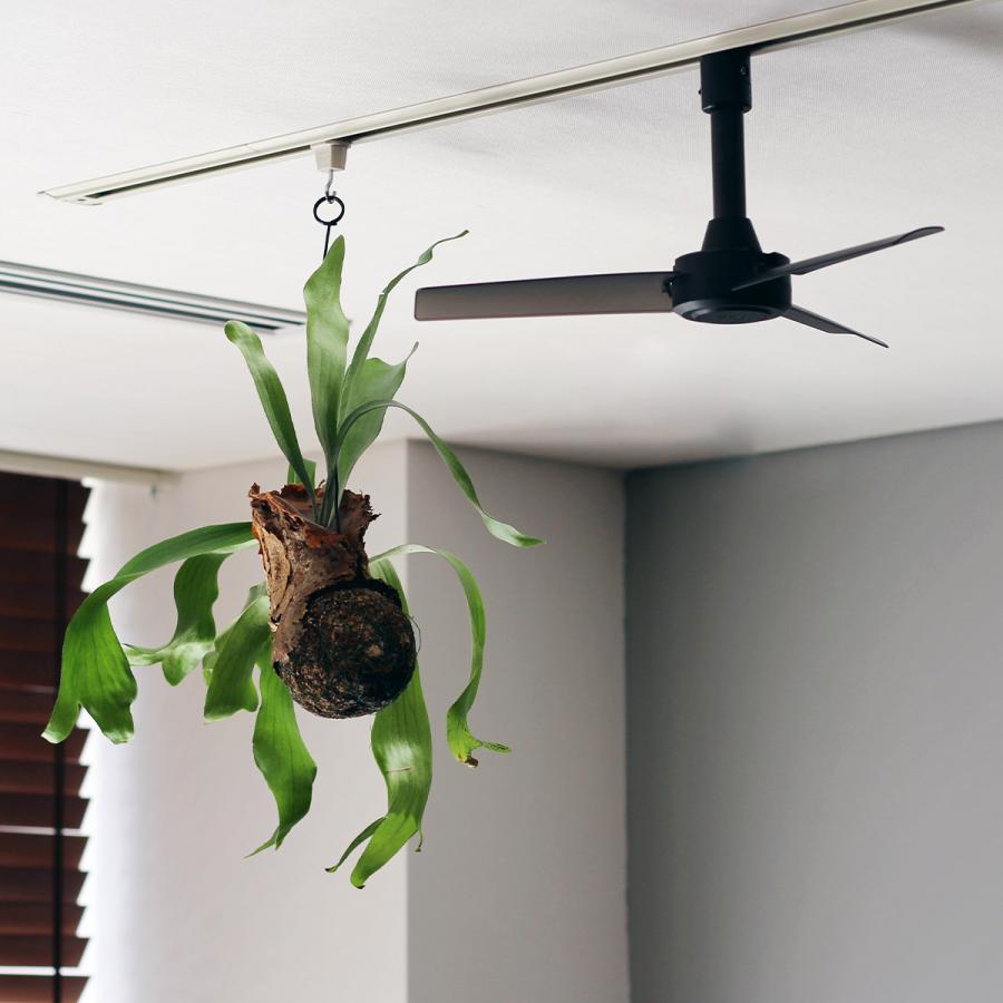 BRID（ブリッド） シーリングファン ダクトレール用 40cm 小型