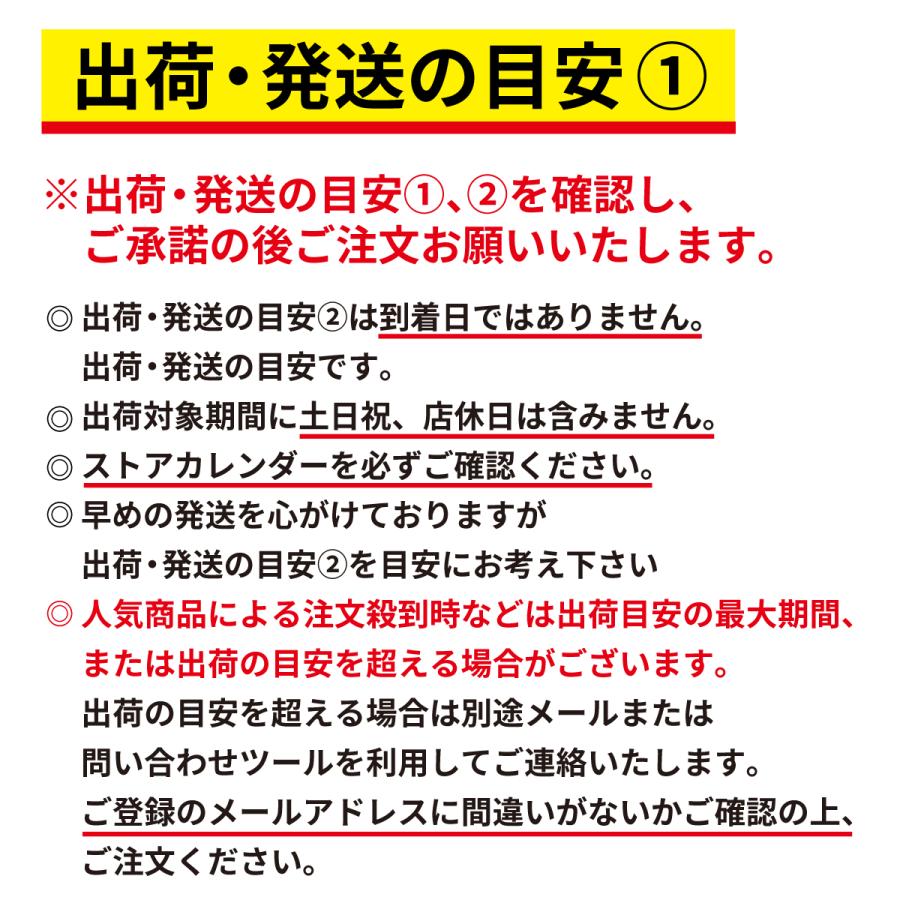 公式プロモパック付】勝利の女神:NIKKE ニベルアリーナ NIVEL ARENA
