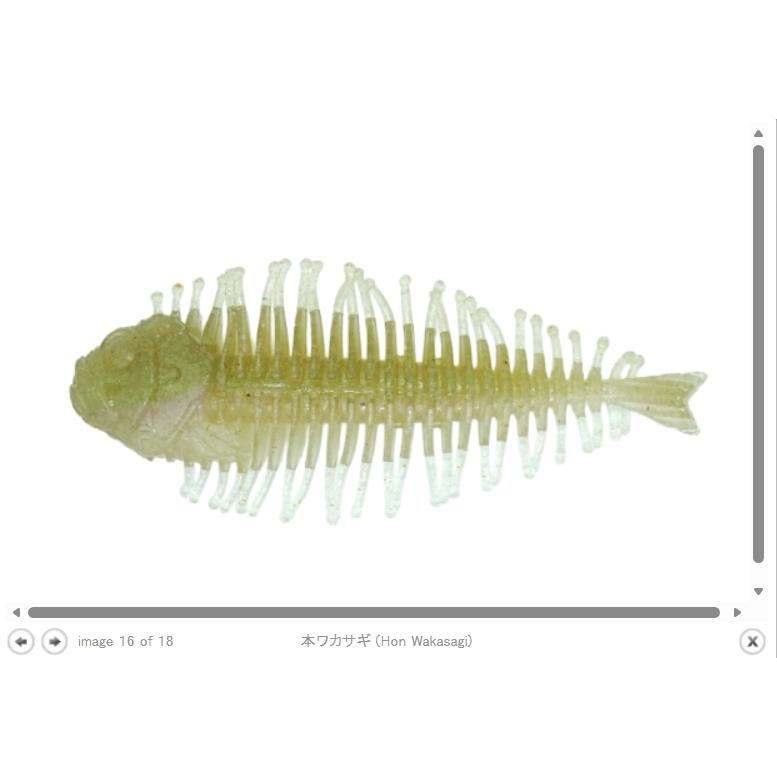 DSTYLE ディスタイル ギーラカンス 4インチ : ルアーショップB.B