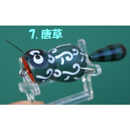 ZEAL ズイール アライくんフロッグ : 松本釣具店Yahoo!店 - 通販