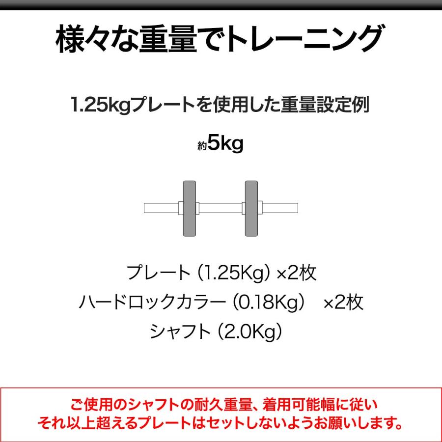 セメントダンベルセット 10kg×2セット a09885 用 1.25kgプレート×2
