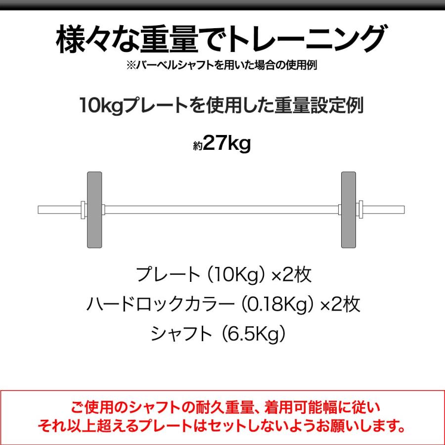 バーベル 用 プレート 10kg 2個セット ポリエチレンコート 追加
