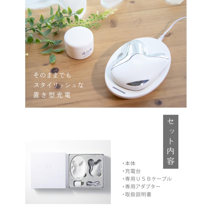 PROIDEA（プロイデア） 島田流 温巡かっさ 美顔マッサージ リフト