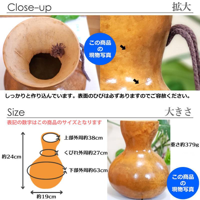 ハワイアン フラダンス 楽器 イプ ヘケ オレ 8インチタイプ (Mサイズ