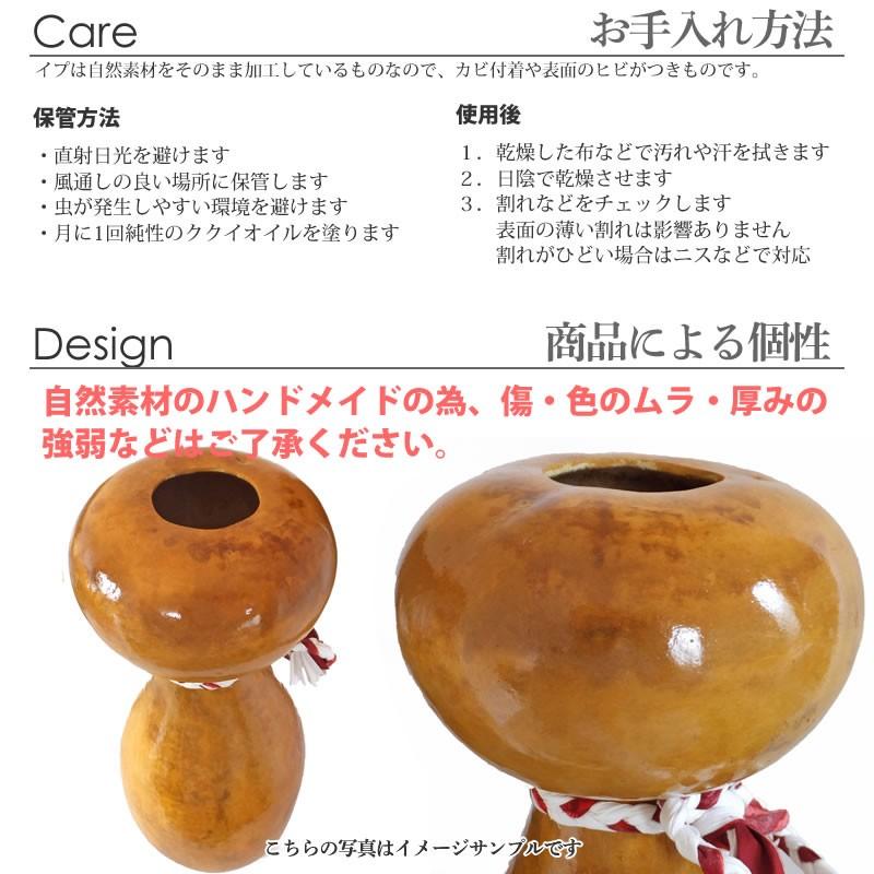 ハワイアン フラダンス 楽器 イプ ヘケ 高さ45cm カウラ付き 350g