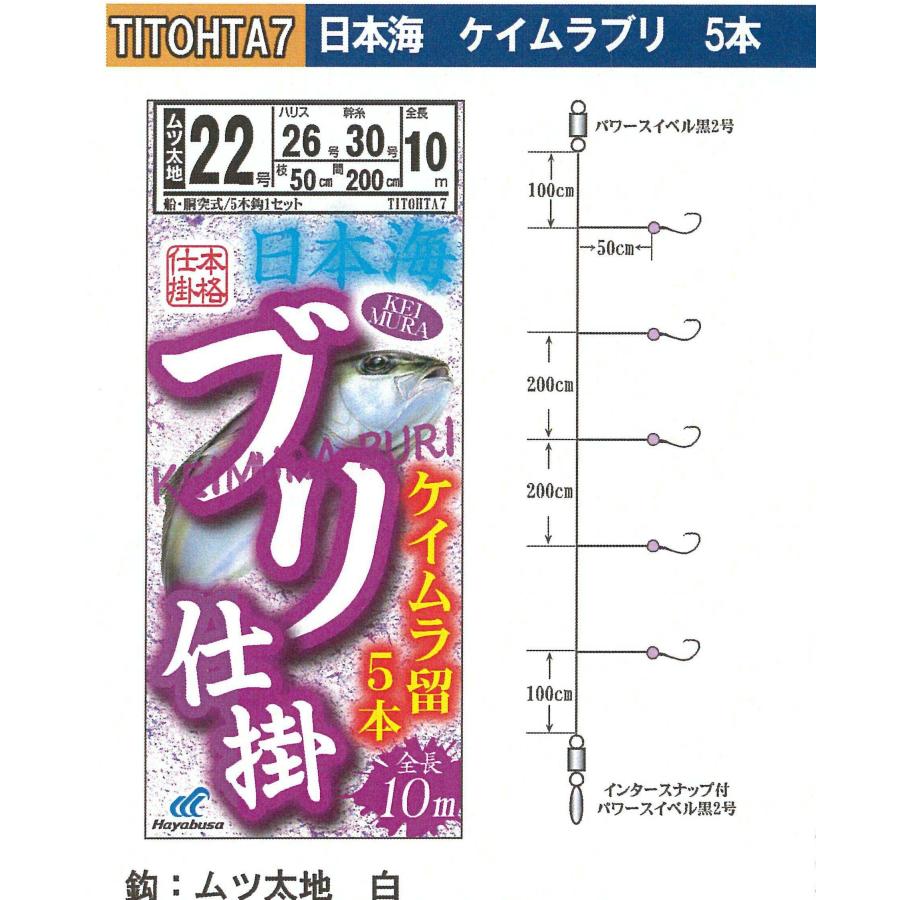 Hayabusa（ハヤブサ） 釣り具 数量限定 サビキ仕掛け 日本海ブリ
