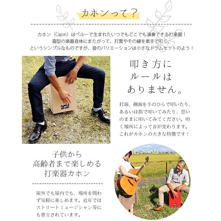 打楽器 カホン スナッピー付 ペルー ストリート 日本製 未塗装 自分で