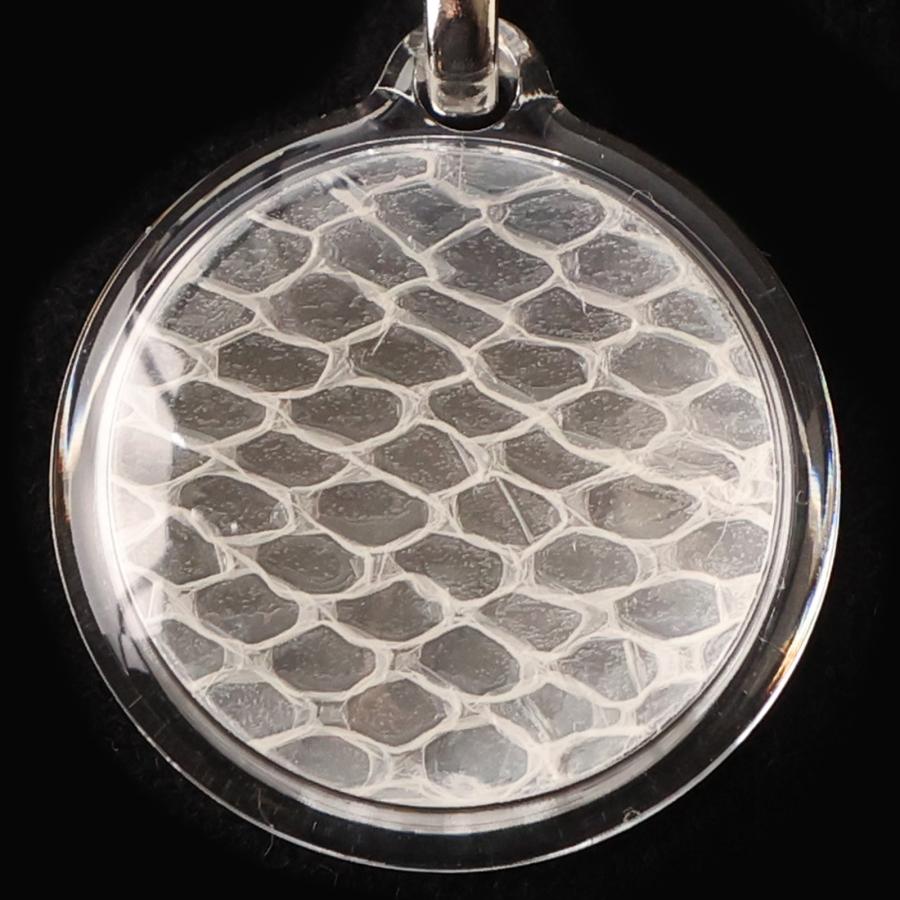 白蛇 抜け殻 丸 ストラップ アクセサリー 祈願 グッズ キーホルダー