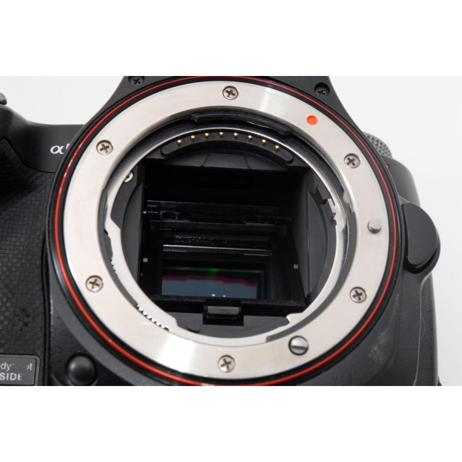 SONY（ソニー） α55 SLT-A55V 標準・望遠ダブルズームセット 美品 高速