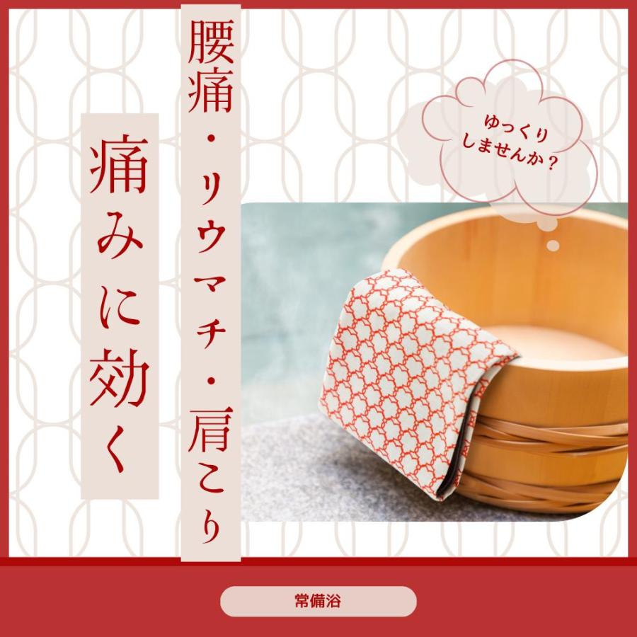 常備浴 富山常備薬 黒部グリーンの湯色 森林の香り 大容量400mL(20回分