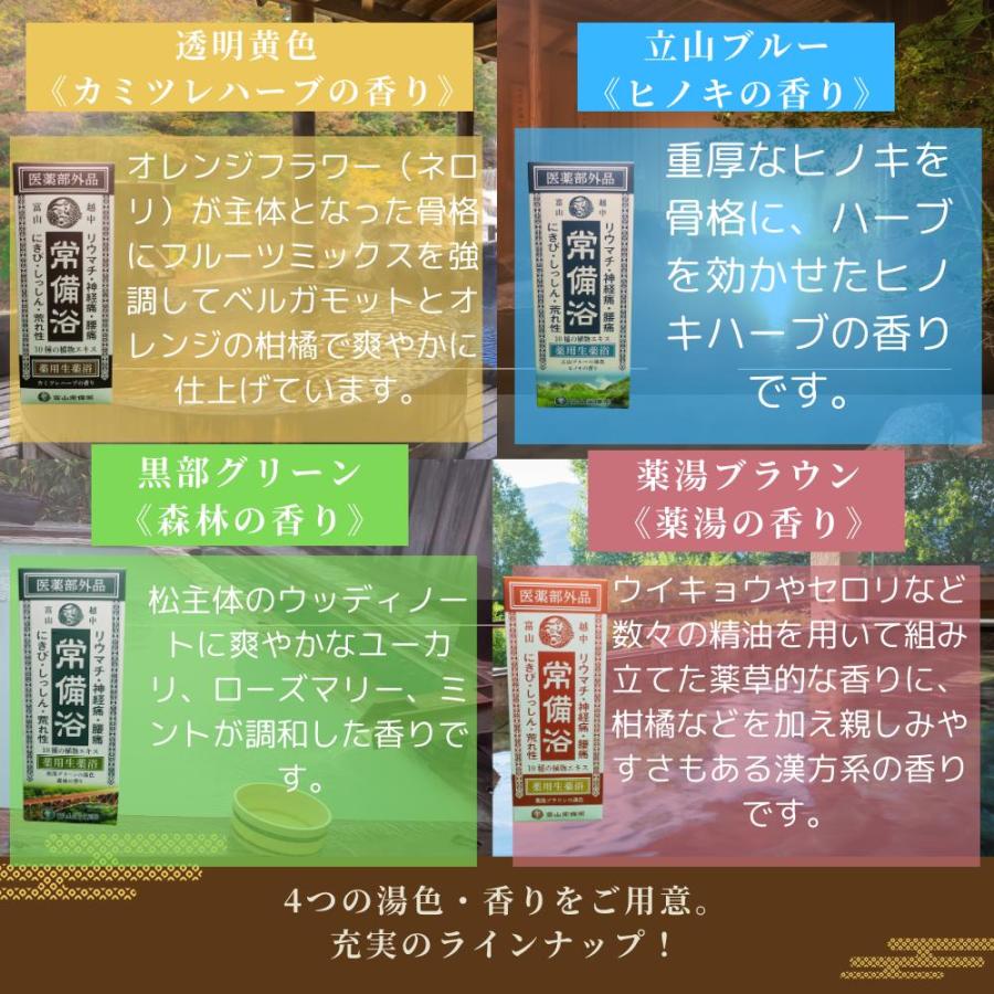 常備浴 富山常備薬 黒部グリーンの湯色 森林の香り 大容量400mL(20回分