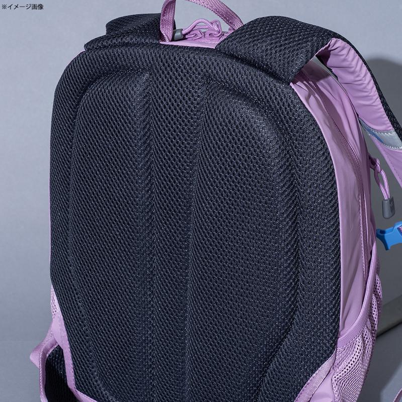 THE NORTH FACE（ザ ノースフェイス） スモール デイ キッズ 15L