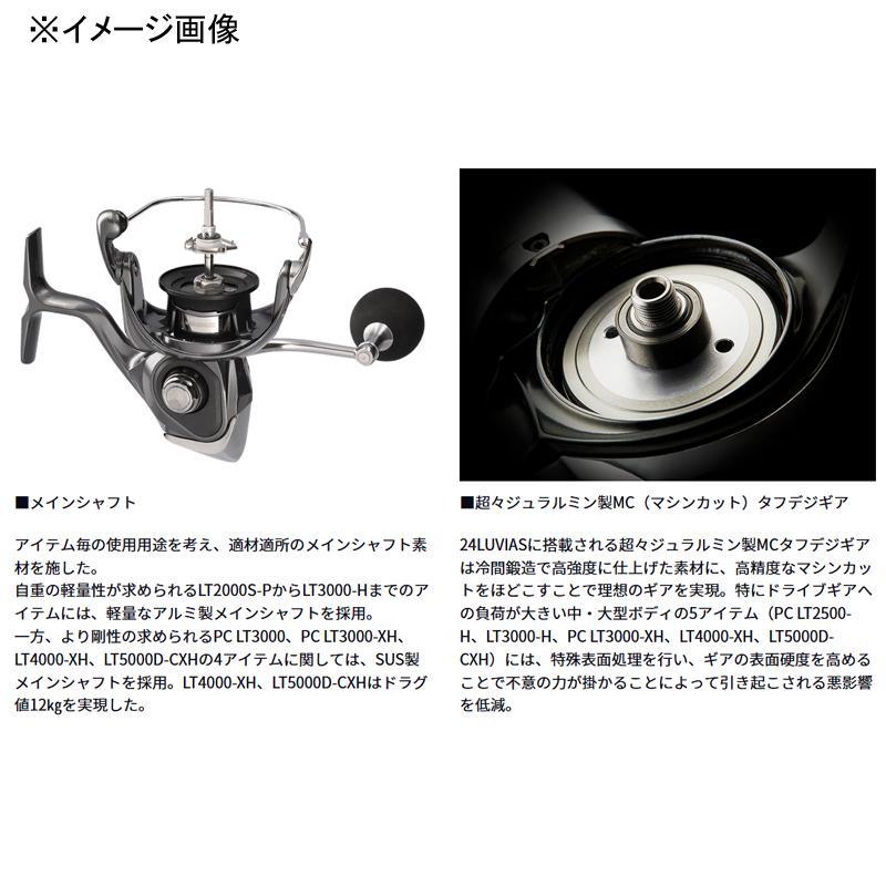DAIWA（ダイワ） スピニングリール 24LUVIAS(ルビアス) LT2500S
