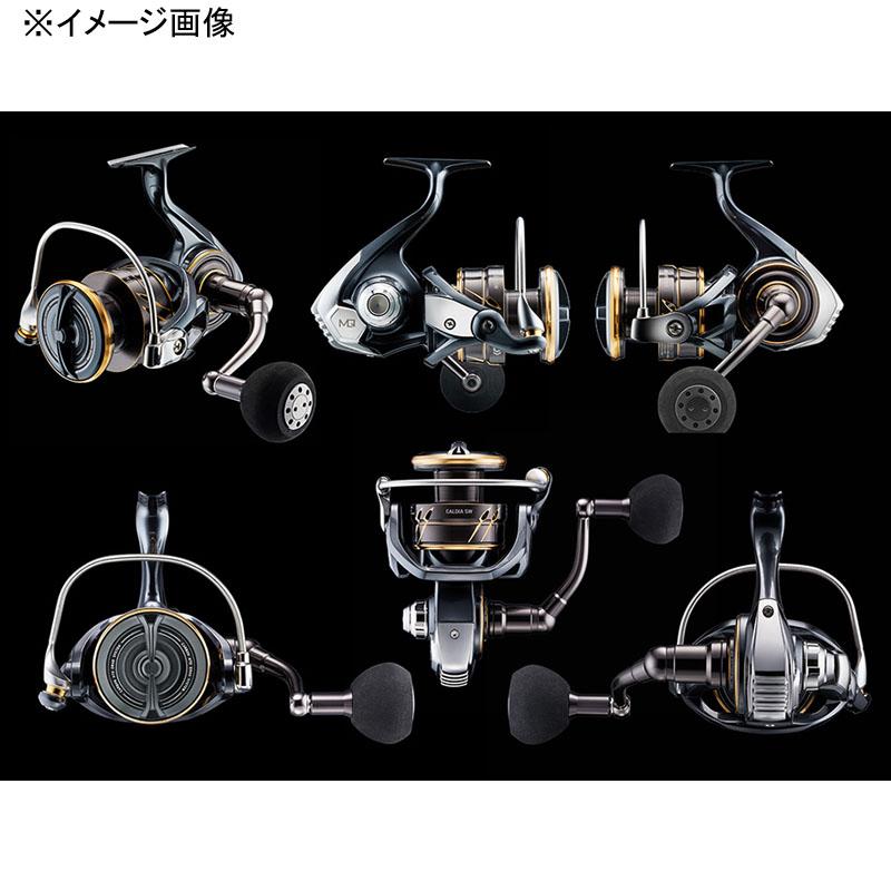DAIWA（ダイワ） スピニングリール 22 CALDIA(カルディア) SW 10000-P