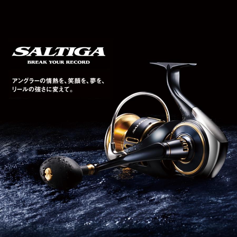 DAIWA（ダイワ） スピニングリール (予約3月発売)25ソルティガ 30000-H
