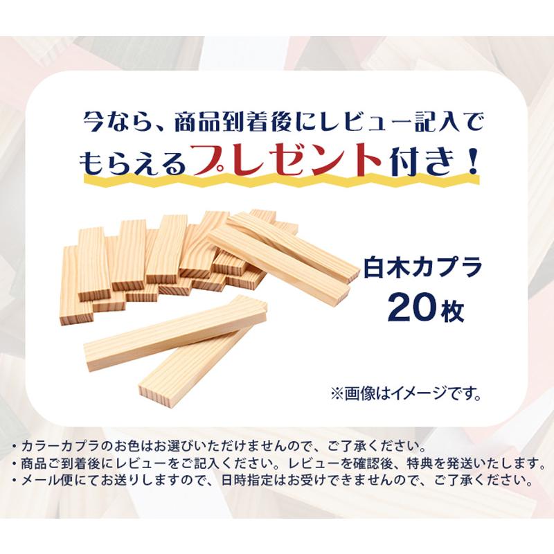 KAPLA カプラ 280 デザインブック赤1冊セット 小冊子付き 白木 積み木