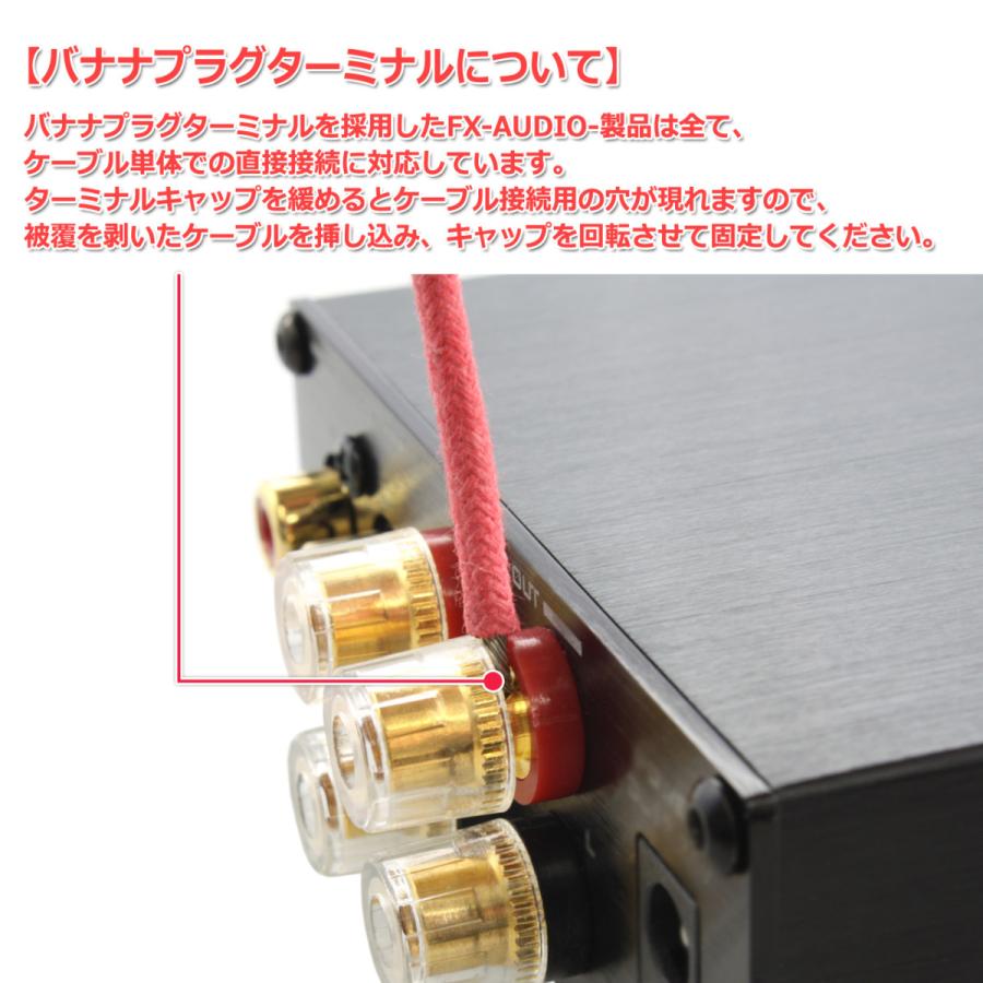 FX AUDIO FX-AUDIO- FX-501J[チタンブラック] TPA3118デジタルアンプIC