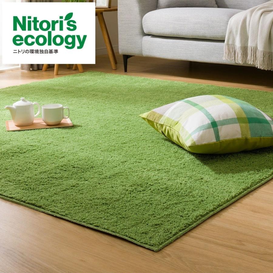 ニトリ（NITORI） ほこりが取れやすい洗えるラグ(Nクリーンウォッシュ