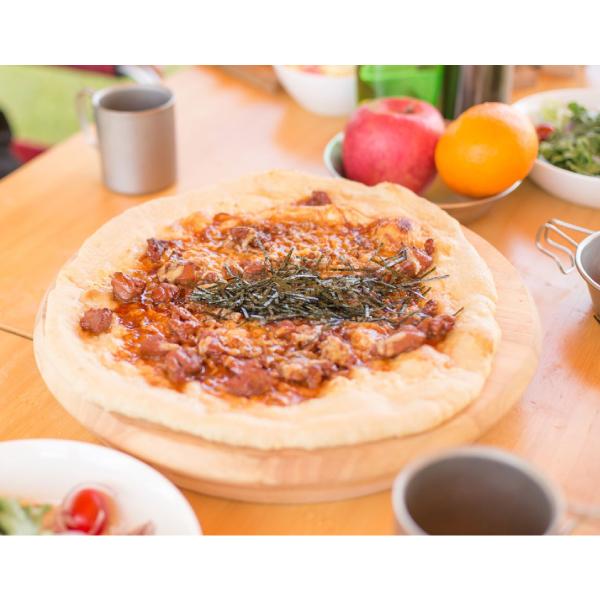 snow peak（スノーピーク） 食器 パーティープレート CS-330