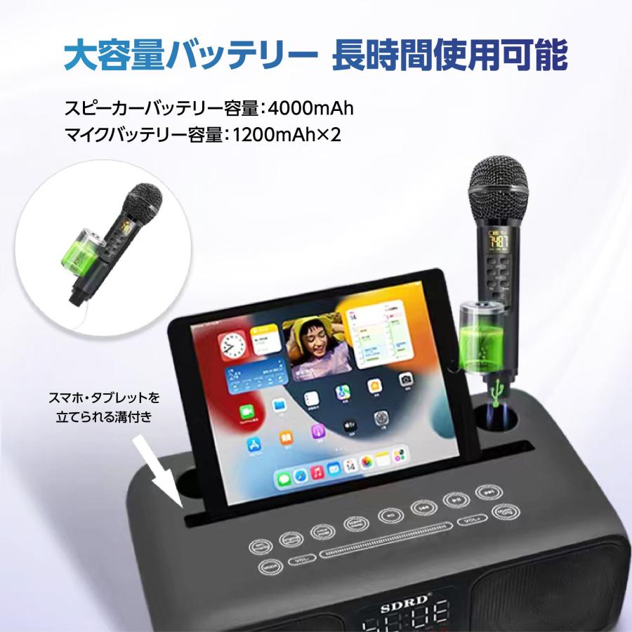 Smaly（スマリー） 家庭用カラオケ マイク付2本き 高音質カラオケ