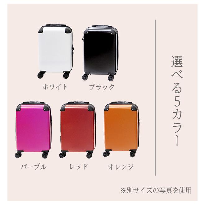 ヒロ・コーポレーション アウトレット ＼今だけキャリーベルト付