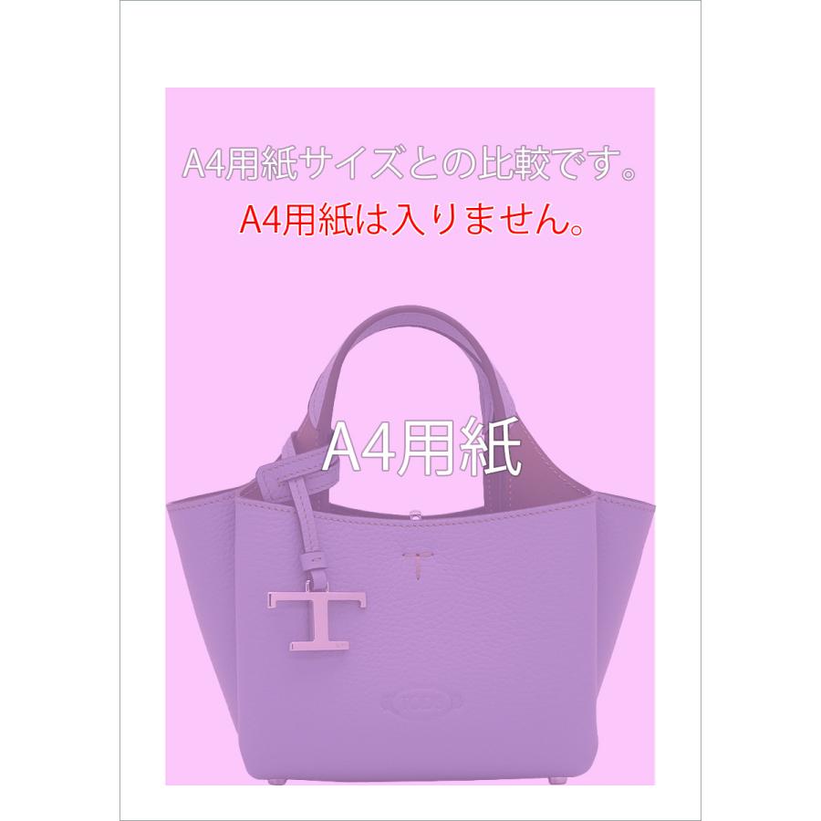 TOD'S（トッズ） レザー バッグ マイクロ XBWAPAFL000QRI3L28