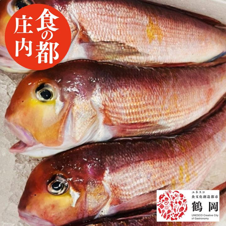 天然 甘鯛 1kg4〜6尾前後 冷蔵 アマダイ 山形県 庄内浜産 鮮魚 食の都