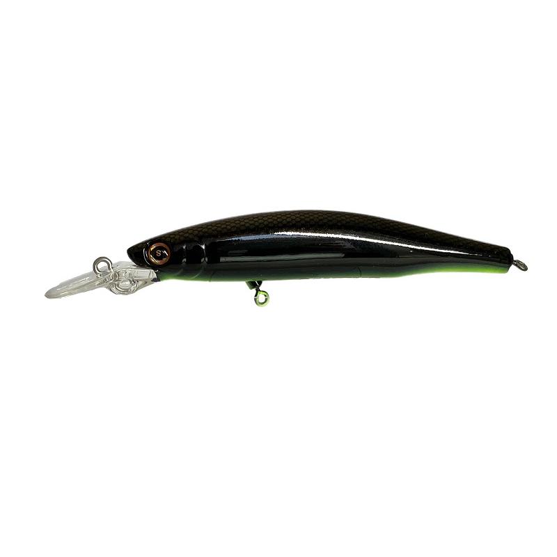 New!】 レックス・ミディアムディープ 9cm : SAURUS Direct Shop