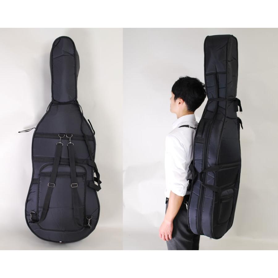 Hallstatt ハルシュタット チェロ HC-450 入門セット〔大型荷物 沖縄