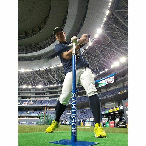 MIZUNO（ミズノ） [即日出荷][メーカー直送品]ハング (HANG) ソフト