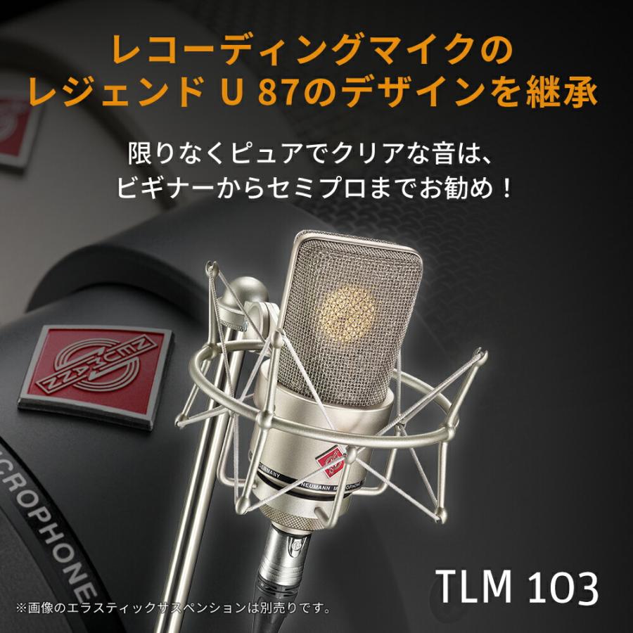 NEUMANN（ノイマン） TLM 103 ラージダイアフラム コンデンサーマイク