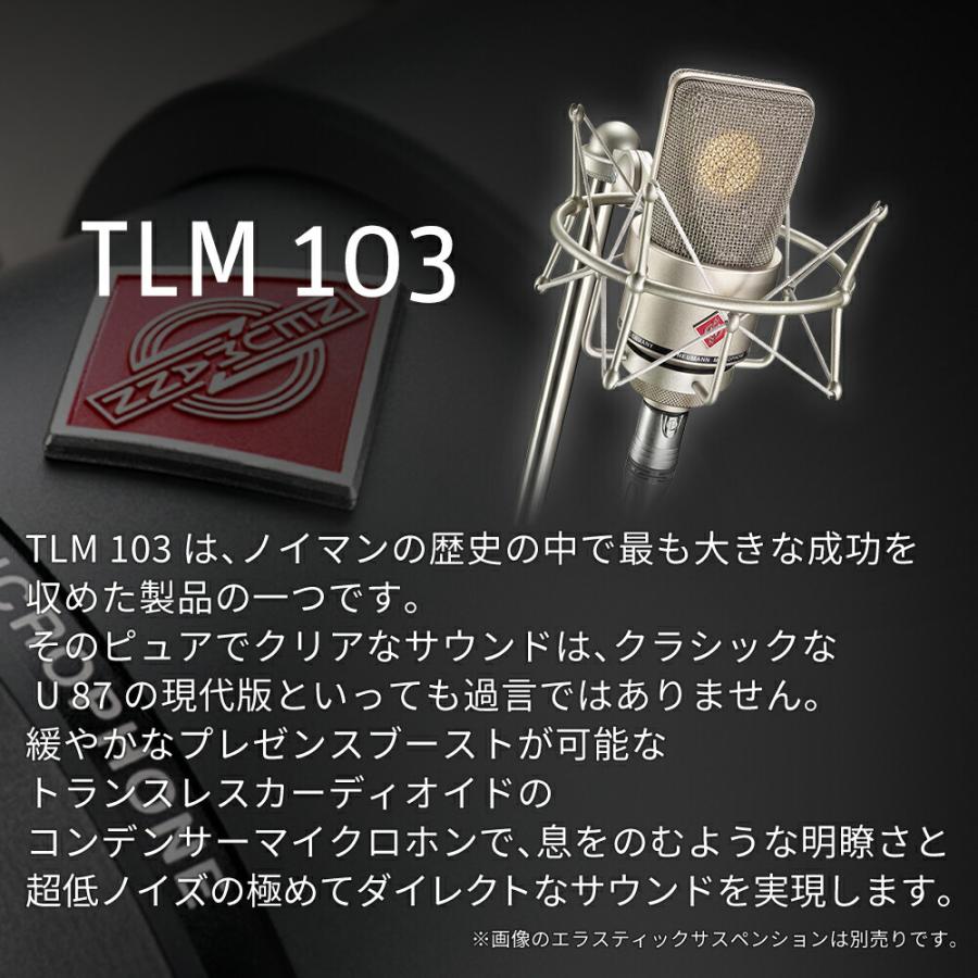 NEUMANN（ノイマン） TLM 103 ラージダイアフラム コンデンサーマイク