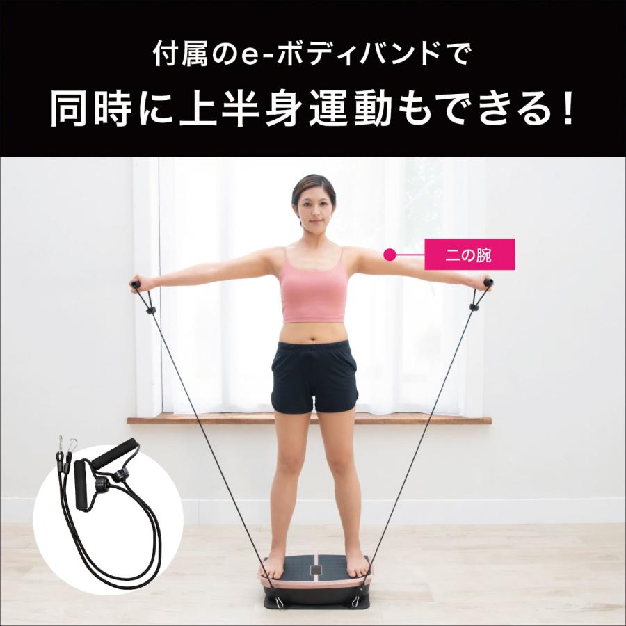 ハイブリッドコア Hybrid Core EMS 振動ボード 体幹トレーニング 振動