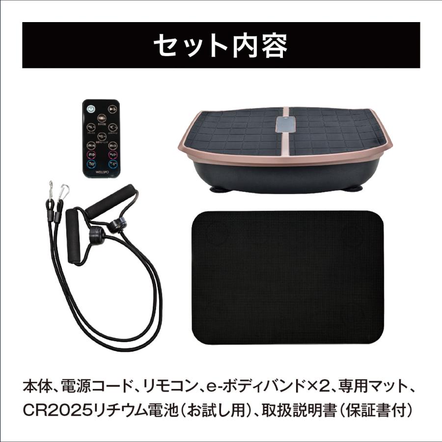 ハイブリッドコア Hybrid Core EMS 振動ボード 体幹トレーニング 振動